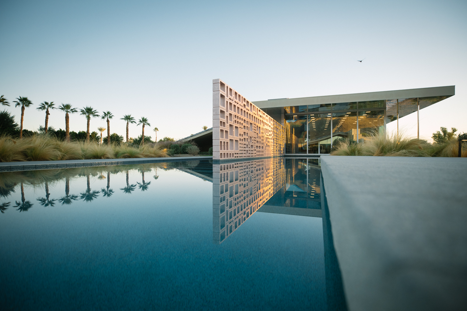 Pool reflection, breeze-block wall, and palms at the Dreamer Estate.